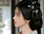 Hanfu Decor Accessory Sets:A Journey into Traditional Elegance