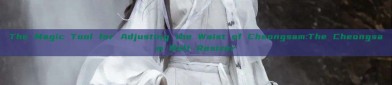 The Magic Tool for Adjusting the Waist of Cheongsam:The Cheongsam Belt Resizer