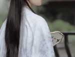 Exclusive Charm of Qipao The Art of the Uncommon Elegance of Chinese Traditional Dress