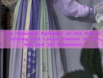 The Splendid Splendor of the Hanfu Clothing with Large Sleeves in the Wei and Jin Dynasties