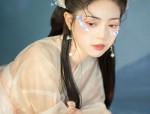 Traditional Chinese Womens Hanfu Costumes:Adult Cheongsam in Chiffon Fabric