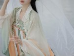 Winter Thickened Hanfu Dune:A Guide to Warm and Stylish Traditional Chinese Clothing