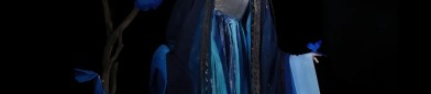 The Splendor of Long-Style Hanfu Cape and斗篷