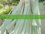 Wutong Original Hanfu Clothing Store:A Journey into Traditional Elegance