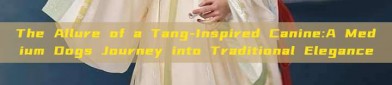 The Allure of a Tang-Inspired Canine:A Medium Dogs Journey into Traditional Elegance