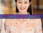 Innovating Cheongsam Blouses with Redesigned 盘扣细节