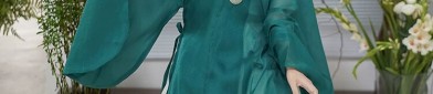 The Splendor of Hanfu:The Grandeur of Big Sleeves in the Northern and Southern Dynasties