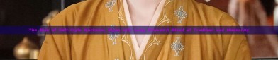 The Rise of Soft-Style Workwear Qipao with Long Sleeves:A Blend of Tradition and Modernity