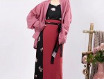 Hanfu Fashion:Exploring Traditional Chinese Style in Junior School Days