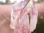 The Evolution of Armor-Style Hanfu:A Journey Through Ancient Chinese Armor and Clothing