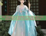 Embracing the New Sino Chic:Traditional Outerwear with Maomin Skirt