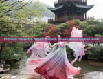 The Splendor of Hanfu Robes:The 12-Year-Olds Journey into the World of Big-袖衫
