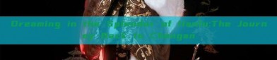 Dreaming in the Splendor of Hanfu:The Journey Back to Changan