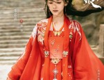 Adult Autumn and Winter Hanfu Horseback Skirt:The Revival of Traditional Beauty