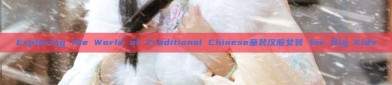 Exploring the World of Traditional Chinese童装汉服女装 for Big Kids