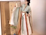 The Plum Blossom and the Fall of Hanfu:A Tale of Traditional Beauty and Cultural Heritage