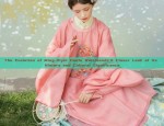 The Evolution of Ming-Style Hanfu Waistbands:A Closer Look at its History and Cultural Significance