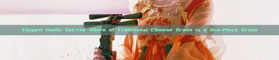 Elegant Hanfu Set:The Allure of Traditional Chinese Dress in a One-Piece Dress