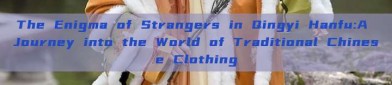 The Enigma of Strangers in Qingyi Hanfu:A Journey into the World of Traditional Chinese Clothing