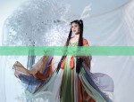 The Auspiciousness of the Horseface Skirt with Dragon and Phoenix Emblems