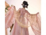 The Journey of a 12-Year-Old Girl Student into the Realm of Traditional Hanfu 汉服女)