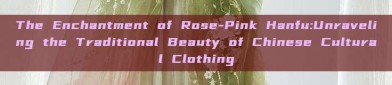 The Enchantment of Rose-Pink Hanfu:Unraveling the Traditional Beauty of Chinese Cultural Clothing
