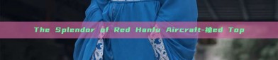 The Splendor of Red Hanfu Aircraft-袖ed Top