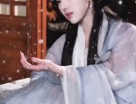 The Plum Blossom and the Fall of Hanfu:A Tale of Traditional Beauty and Cultural Heritage
