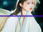 The Rise of Ming-Style Hanfu Hair Ornaments and Wigs:A Blend of Tradition and Modernity