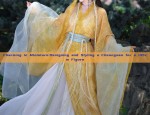 The Integration of Traditional Hanfu Hairstyles and Wigs in Modern Ming-Style Fashion