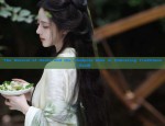 Chinese Traditional Costume for Women:Winter Adult Ancient Style Clothes