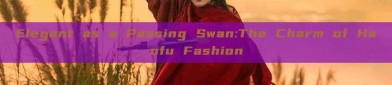 Elegant as a Passing Swan:The Charm of Hanfu Fashion