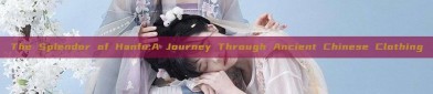 The Splendor of Hanfu:A Journey Through Ancient Chinese Clothing
