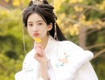The Enigma of a Girl in a Black Cheongsam