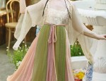 Winter Thickened Hanfu Dune:A Guide to Warm and Stylish Traditional Chinese Clothing