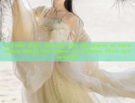 Plus-Size Fashion:Embracing the Beauty of Hanfu for 200-Pound Women