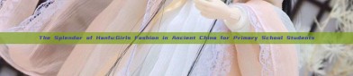 The Splendor of Hanfu:Girls Fashion in Ancient China for Primary School Students
