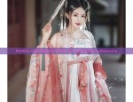 Summer Attire of Song Dynasty Hanfu for Women:A Closer Look