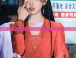 The Adventures of a Little Girl in Martial Arts Style Hanfu