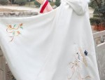 The Splendor of Hanfu:The Red Charm of Jin-Jin Dynasty