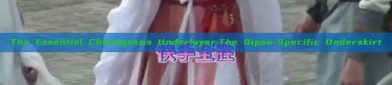The Essential Cheongsams Underlayer:The Qipao-Specific Underskirt