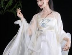 Summer 2023:The New Black Cheongsam Blouse for Women