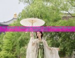 The Splendor of Ming-Style Horseface Skirt:A Fashionable Bargain at a Babbage Price