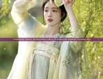 The Origin and Revival of Gongyu Yi Hanfu:Unraveling the Essence of Traditional Chinese Elegance
