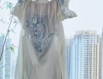 Southern Splendor:The Cultural Revival of Hanfu in the Realm of Fish and Splendidry
