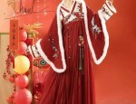 Childrens Traditional Chinese Hanfu Costumes:Embracing the Essence of Chinese Heritage
