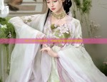 Exploring the Enigma of Ancient Womens Hanfu Costumes:A Comprehensive Guide