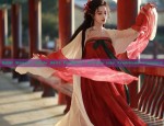 Adult Womens Hanfu Skirt Fashion:A Journey into Traditional Elegance