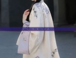 Plus Size Womens Hanfu Hooded Cape Jacket:A Fashionable Journey into Traditional Elegance