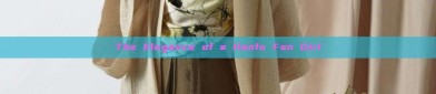The Elegance of a Hanfu Fan Girl
